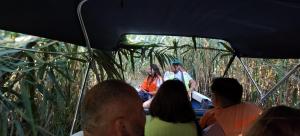 Casa Pelicanul Durduliu