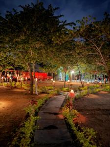 Monkey Paradise Hampi