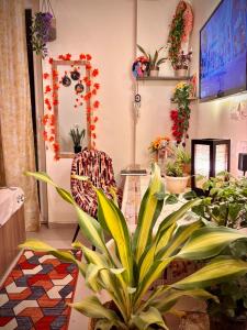 Boho Bliss near Prem Mandir & ISKCON