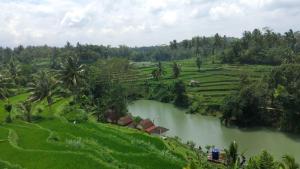 Live lombok homestay