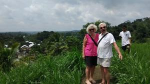 Live lombok homestay