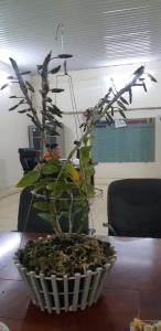 Tamcoc Cloud Homestay