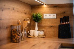 Apartmánový dom Budiná