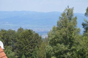 Guest House Vila Horizont