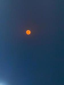 Full Moon Home Stay