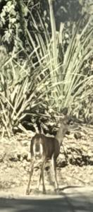 Green Point Nature Retreat