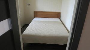 Cat Garden Superior Apartments Riga