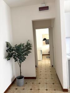 Lucys Home Giardini Naxos