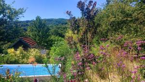 Slow Living Retreat near Zagreb - Fast WiFi - Workspace - Pet Friendly