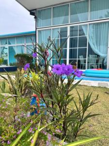 Miss & Moon Poolvilla Bang Saray