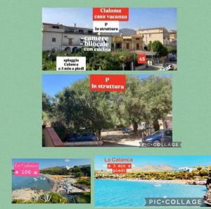 B&B Cialoma Full Green