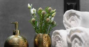 Hanza Tower GOLD 24 SPA & Pool & Sauna & Jacuzzi