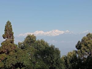 MountainBrew Homestay