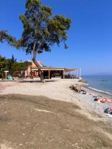 Seaside 2-Bedroom Apartment in Xylokastro