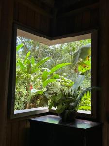 Hostel Cedro do Ronca