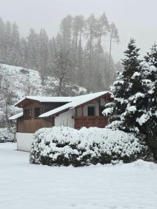 Alte Ölmühle FeWo im EG "Rennsteig" im Herzen des Thüringer Waldes
