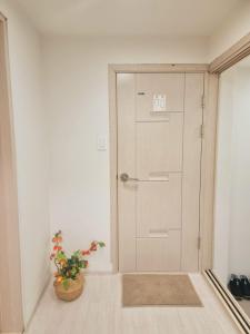 Pumpkin stay Sindang