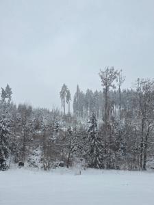 Alte Ölmühle FeWo im OG "Inselsberg" im Herzen des Thüringer Waldes