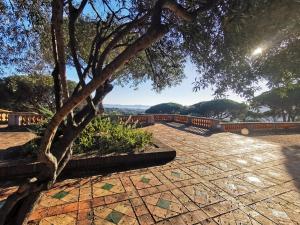 Mazet provençal au cœur dune belle pinède dans une résidence sécurisée