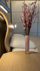 South Park Cozy Flat