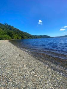 Pichi Cucao | Cabaña tipo Cabina en bosque nativo