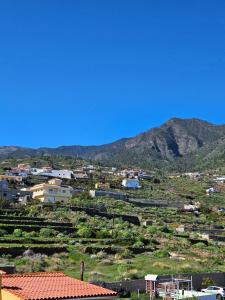 La Casita de Don Honorio
