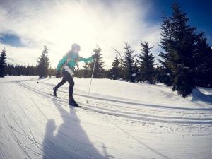 Apartmány Tyršovka, Krkonoše - Kabinet