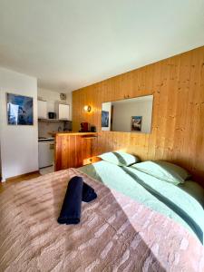 Chamonix studio vue Montblanc - Jardin terrasse et parking
