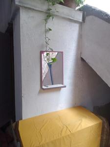 hampicallingstay