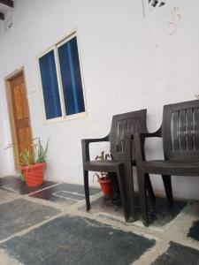 hampicallingstay