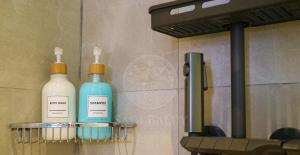 Novotel Suites Manila at Acqua