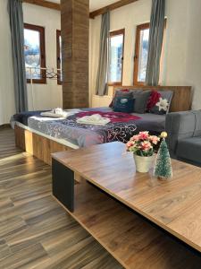 Villa ANA-Mavrovo