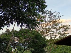 Pousada e Hostel Mirante da Vila Histórica