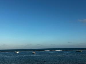 Sol, mar o equilíbrio perfeito e inesquecível!