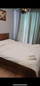 GEORGIA, bakuriani, orbi apartments