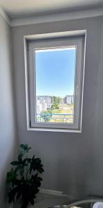 Sunny Day 3 Sky Garden Maisonette Sun Terraces