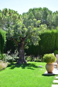 Departamento cerca de la playa