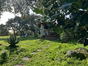 Il Lentischio DOMO MEA img80