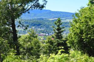 Le Bruant Chalet