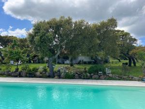 Il Lentischio DOMO MEA img79