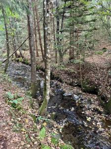 Apartment Velden am Wörthersee