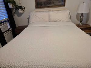 Bright 4BR Retreat Near Downtown Lafayette