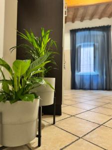 A Casa di Diego - Appartamento nel cuore della Toscana