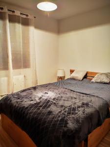 Rent cozy apartment sleeps 6 in SAMOENS