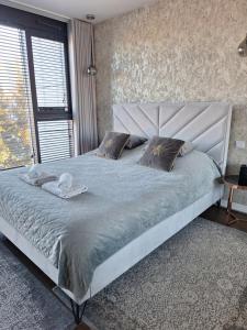 UNIA ART Apartament 61 -BASEN I SPA