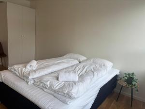 Huge and modern apartment in the heart of Voss