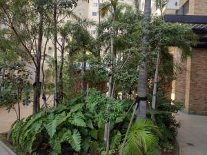 Star Piscine Station Resort Bras com vista Resort