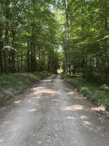 Le Chene du Verger Nature forest