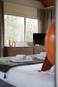 Gite au coeur des bois - Le Chêne du Verger