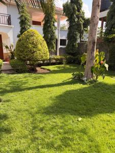 Royal Safary Appartement